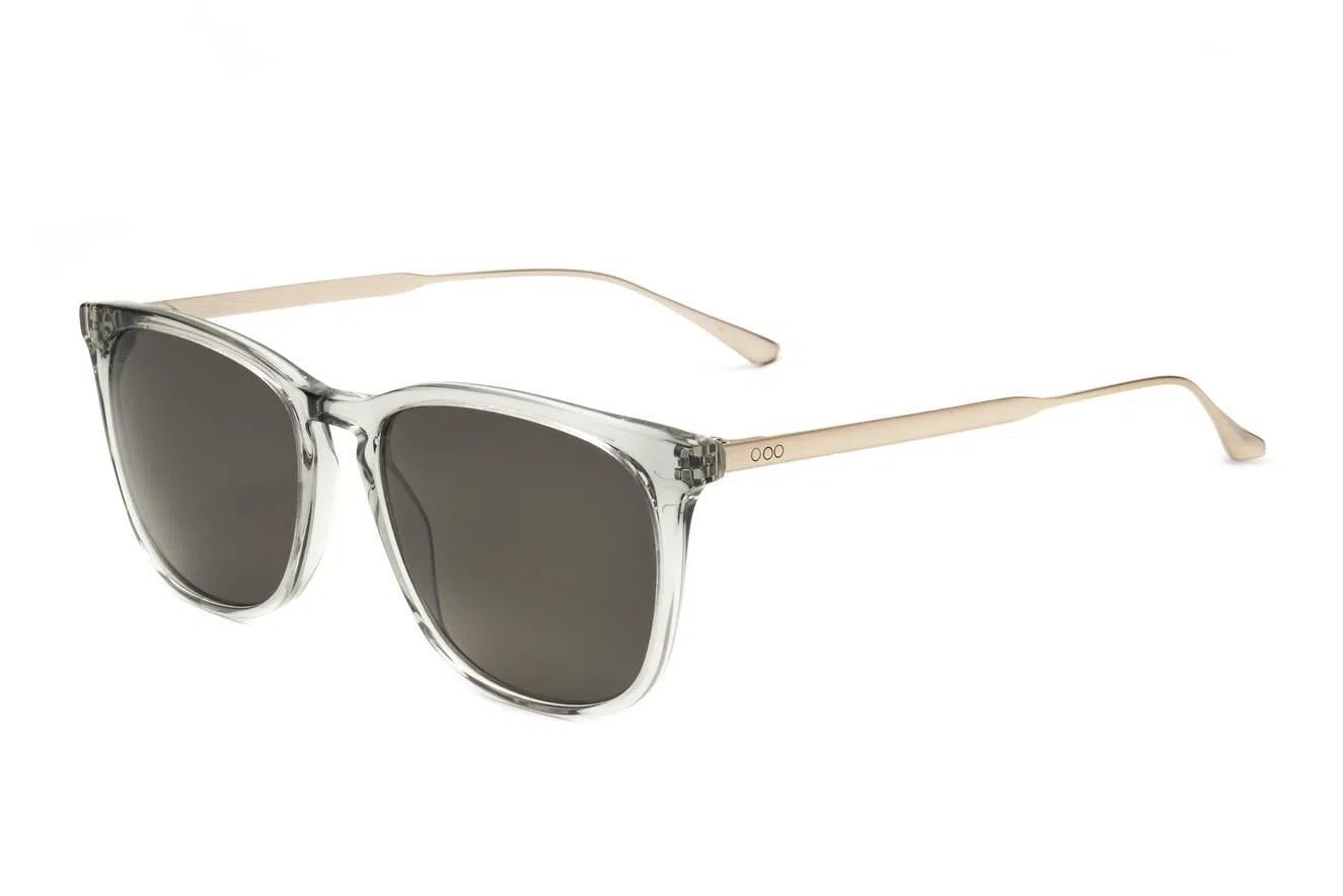 Sandro SDS1021 Sunglasses - view 4